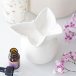 LOT DE 5 Brûle-Parfum Printemps