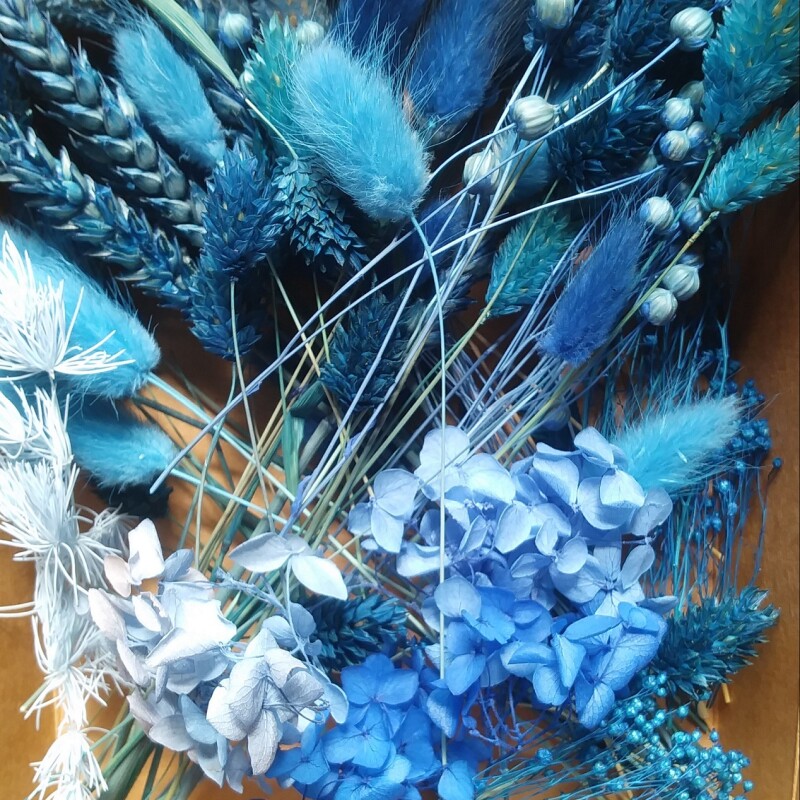 Fleurs Séchées "Bleu Blue"
