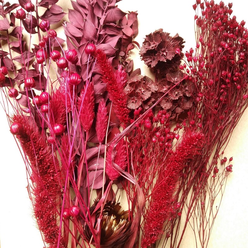 Fleurs Séchées "Rouge & Bordeaux"