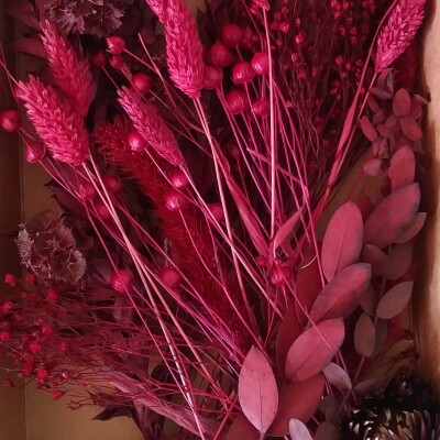 Fleurs Séchées "Rouge & Bordeaux"