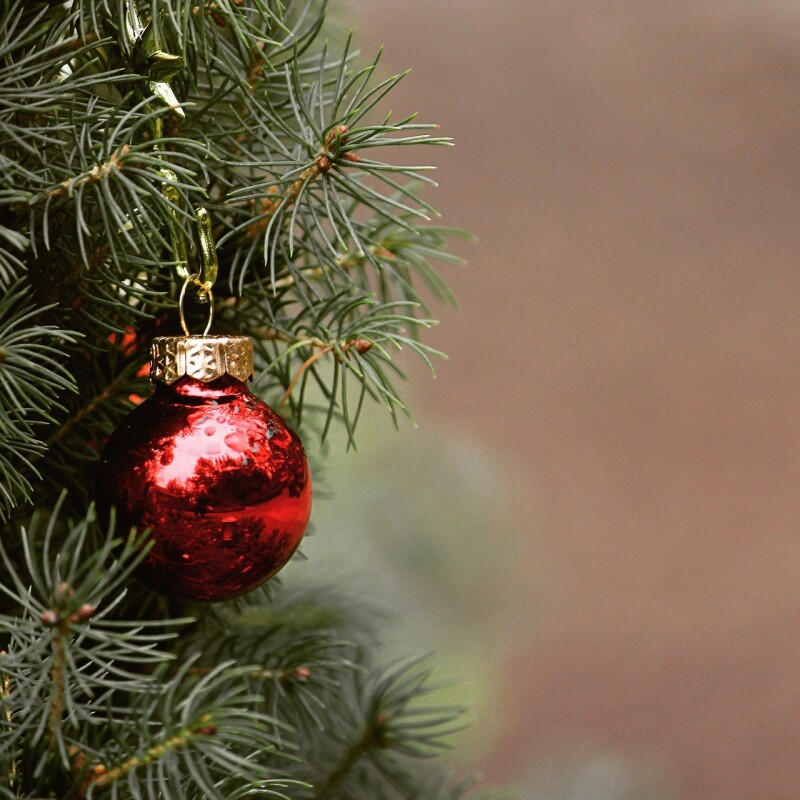 NOEL: SAPIN DE NOEL